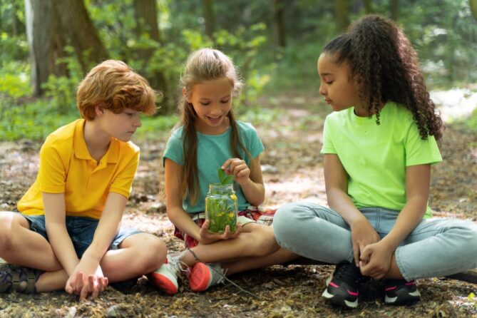 Three children sitting in a forest