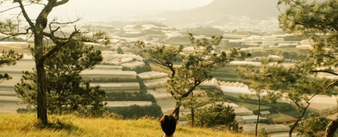 person looking at countryside
