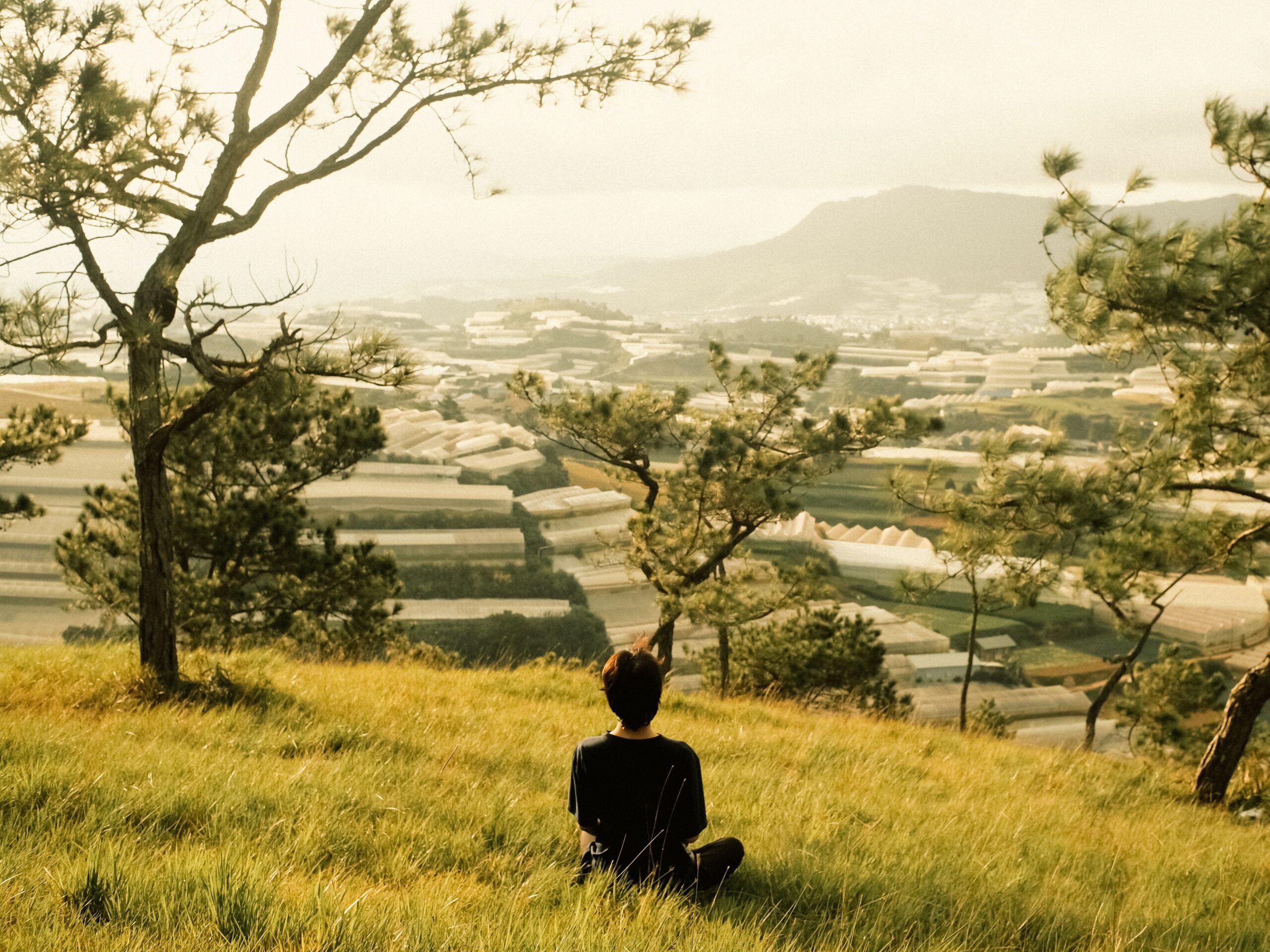 person looking at countryside